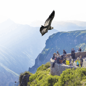 2 Días/ 1 Noche Cañón del Colca desde Arequipa