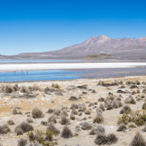 2 Dias / 1 noche Arequipa & Cañon del Colca y finaliza en Puno