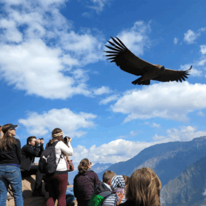 Full Day Cañon del Colca desde Arequipa