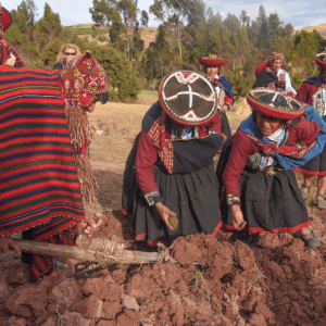 Turismo Rural Comunitario en Ccor Ccor